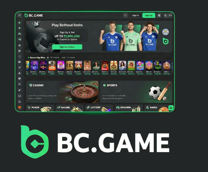 Completing Your BC.Game Registration A Step-by-Step Guide