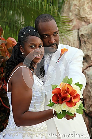 african american wedding couple 13269360